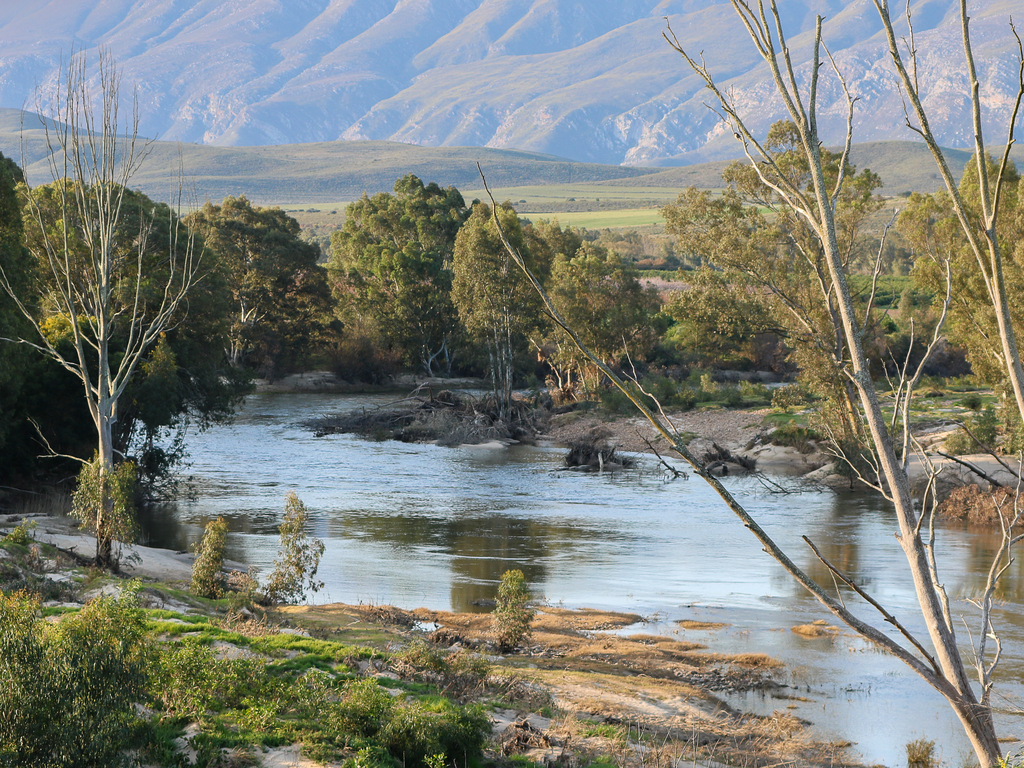 River at Riverhide Guest Lodge