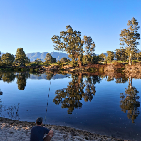 A tranquil sunset scene at Riverhide on the Breede River, where a guest enjoys evening fishing from the soft sandbank. The golden light reflects off the water as the day ends.  It’s a glimpse of Riverhide’s peaceful riverside lifestyle — the calm, the catch, and the quiet beauty of nature between Robertson and Bonnievale.