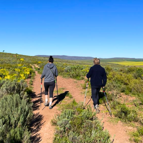 Riverhide offers guests the chance to explore the peaceful renoster field overlooking the Breede River near Robertson, Western Cape. This image of two people walking among the fynbos captures the essence of Riverhide — space, privacy, and connection with nature — just minutes from wine estates and outdoor adventures in the Breede River Valley.