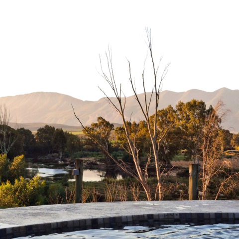 This photo captures the tranquil beauty of the Breede River flowing past Riverhide, a private self-catering retreat in the Robertson Wine Valley. With mountain peaks in the distance and native trees along the riverbank, this peaceful scene showcases the natural charm and privacy that make Riverhide a true hideaway.